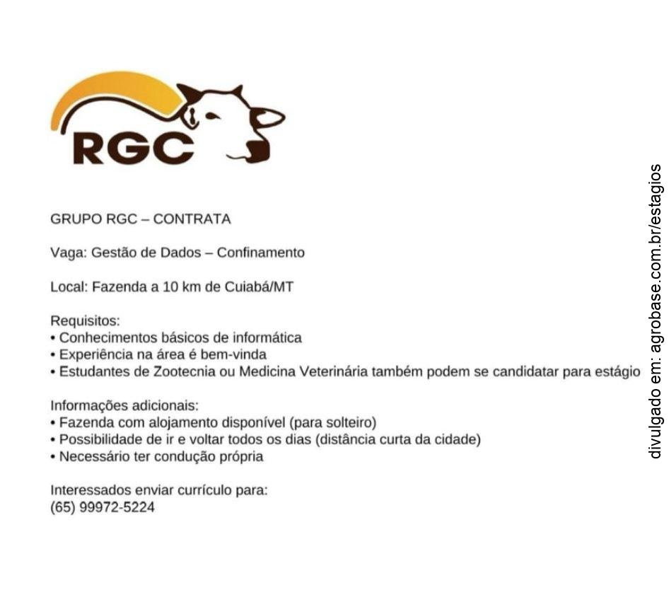 Estágio em gestão de dados – Cuiabá/MT