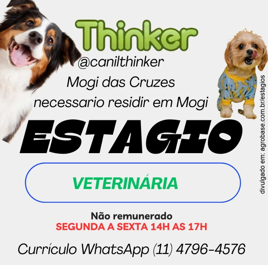 Estágio veterinária – Mogi das Cruzes/SP