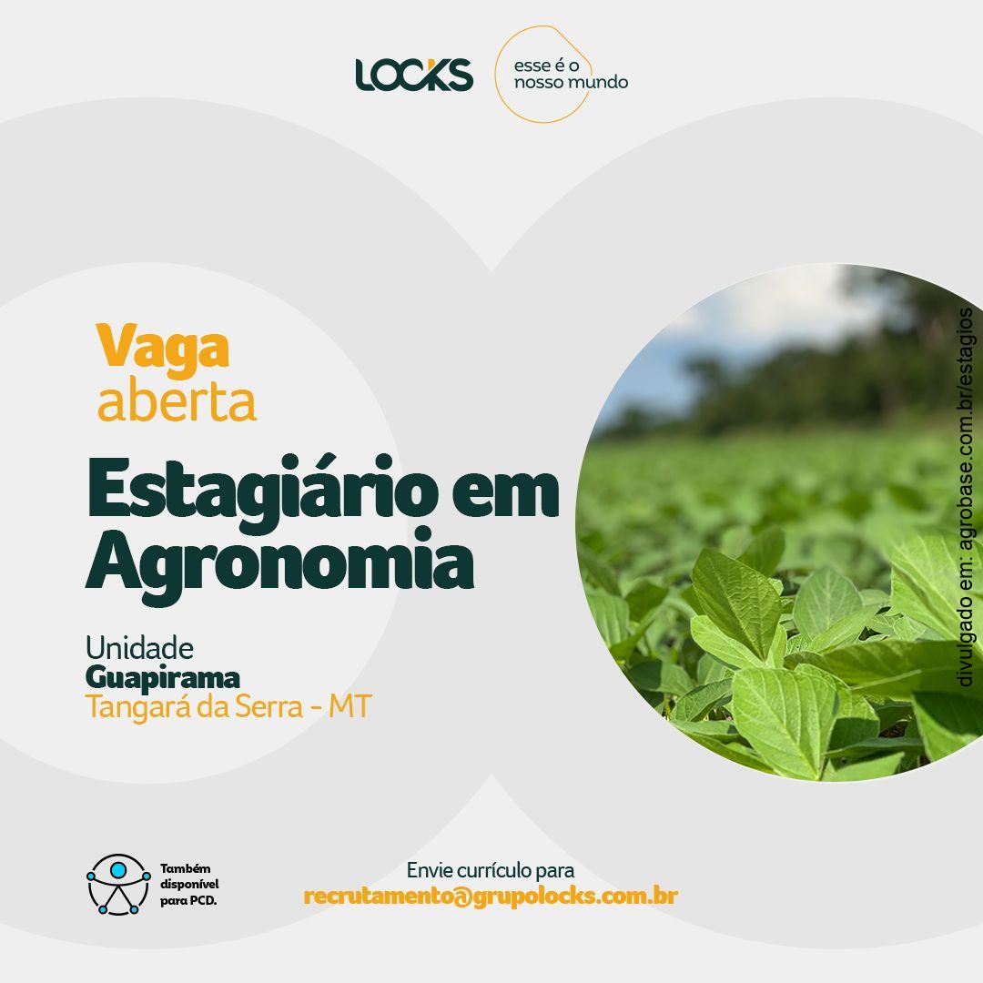 Estagiário em agronomia – Tangará da Serra/MT