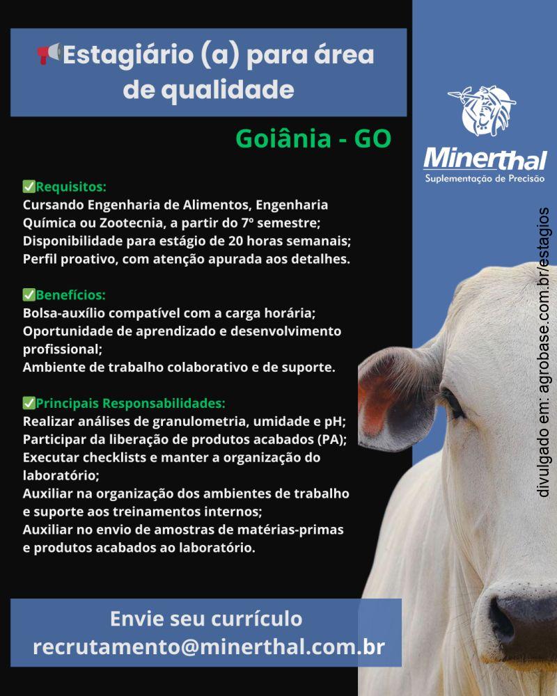 Estágio área de qualidade – Goiânia/GO