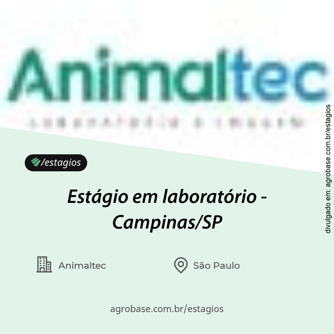 Estágio em laboratório – Campinas/SP