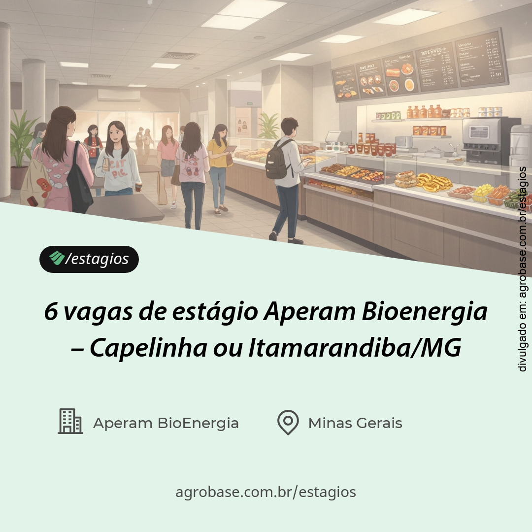 6 vagas de estágio Aperam Bioenergia – Capelinha ou Itamarandiba/MG