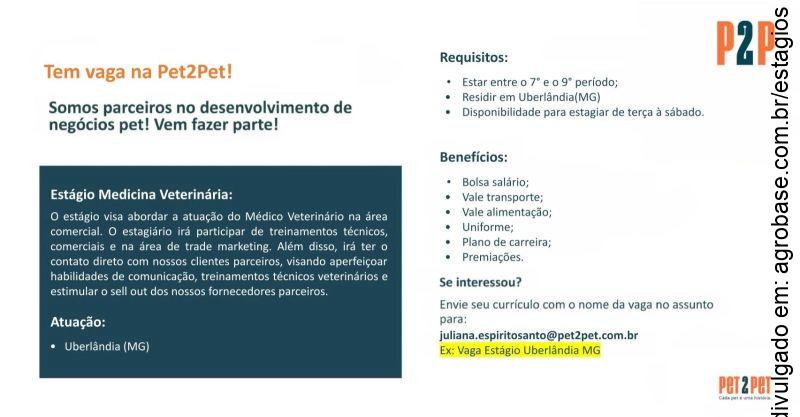 Estágio em medicina veterinária – Uberlândia/MG