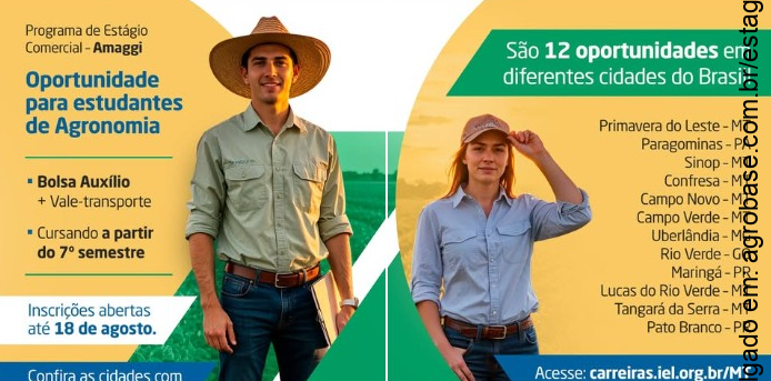 12 vagas de estágio comercial Amaggi – MT, PA, MG, GO e PR