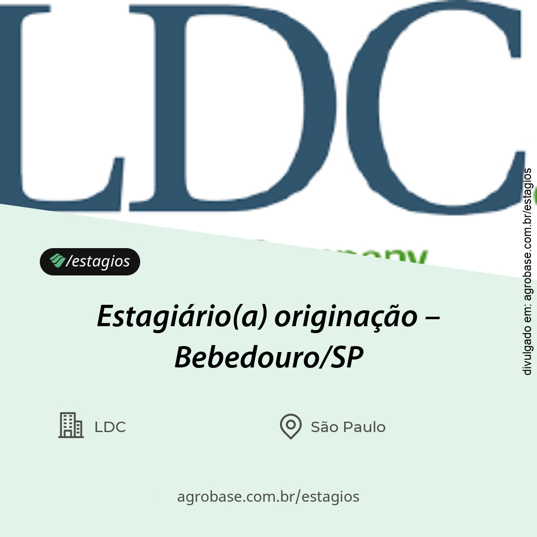Estagiário(a) originação – Bebedouro/SP