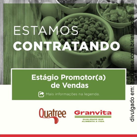 Estagiário promotor(a) de vendas – Curvelo/MG