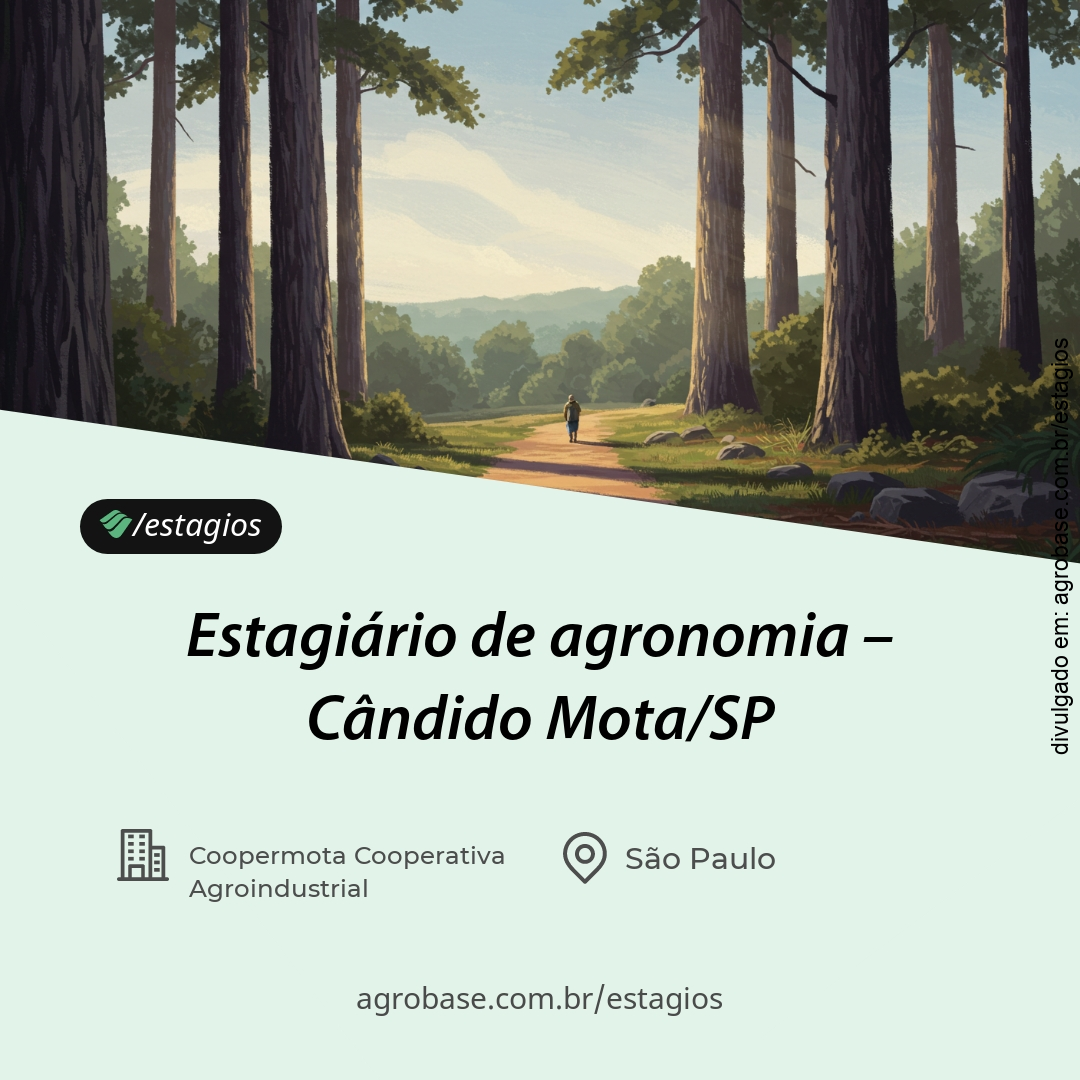 Estagiário de agronomia – Cândido Mota/SP