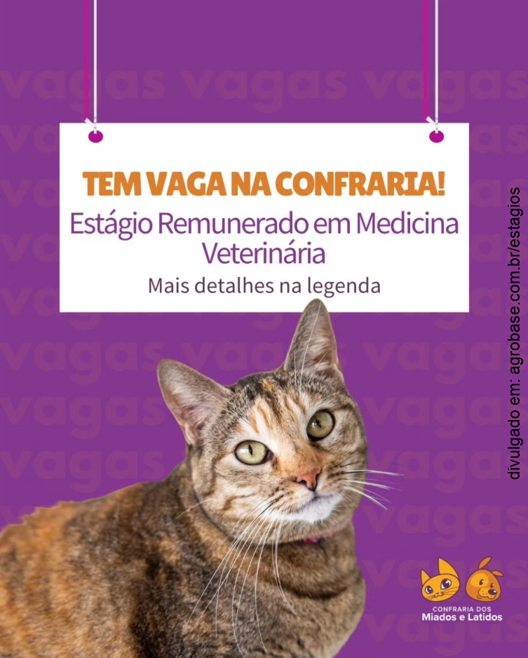 Estágio remunerado em medicina veterinária – São Paulo/SP [Mooca]