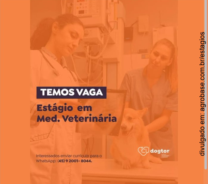 Estágio em med. veterinária – Cascavel/PR