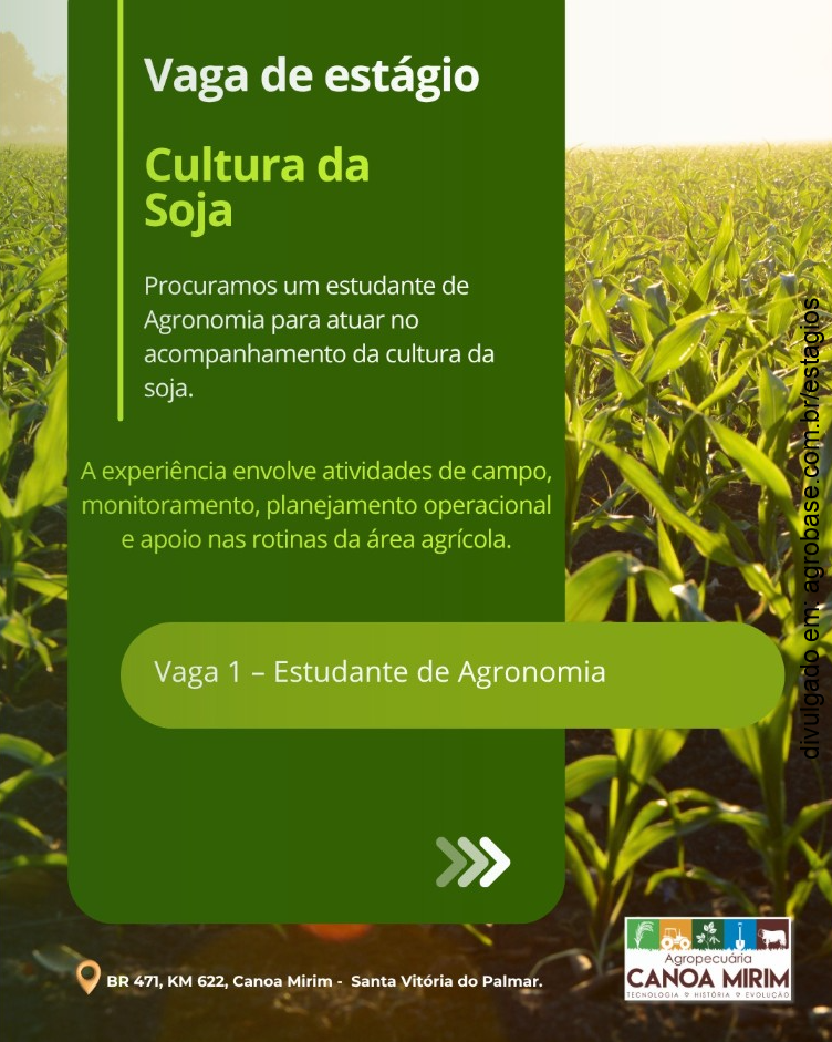 Estágio em cultura da soja – Santa Vitória do Palmar/RS