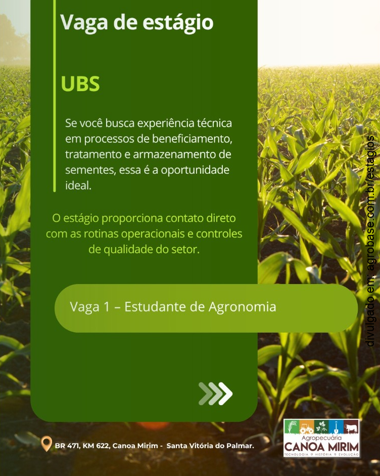 Estágio em beneficiamento de sementes – Santa Vitória do Palmar/RS