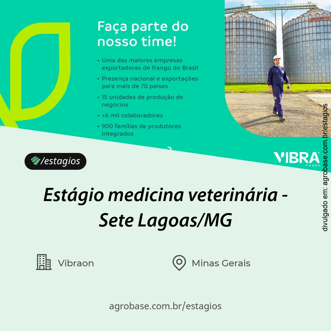 Estágio de medicina veterinária – Sete Lagoas/MG