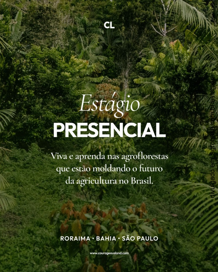 Estágio presencial em agrofloresta – Bahia, Roraima e São Paulo