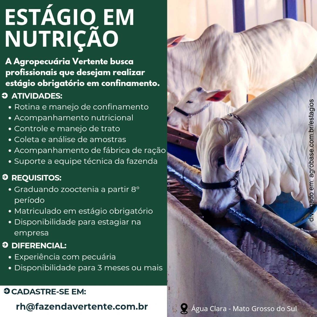 Estágio em nutrição animal – Água Clara/MS