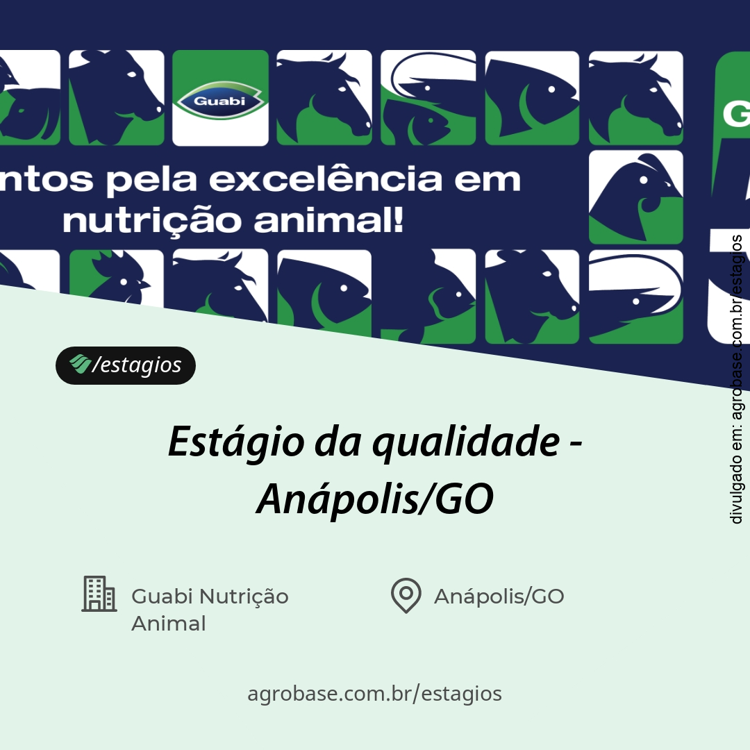 Estágio da qualidade – Anápolis/GO