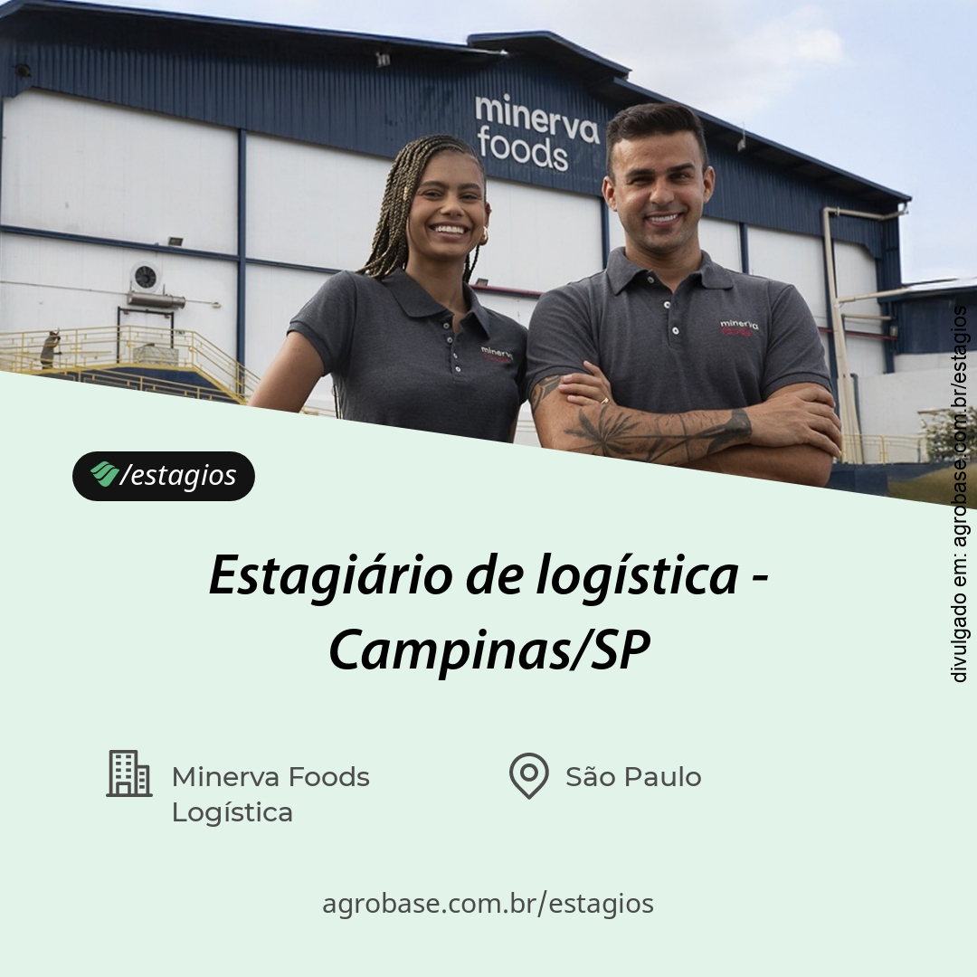 Estagiário de logística – Campinas/SP
