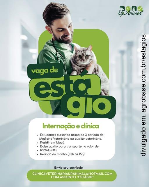 Estágio internação e clínica – Mauá/SP