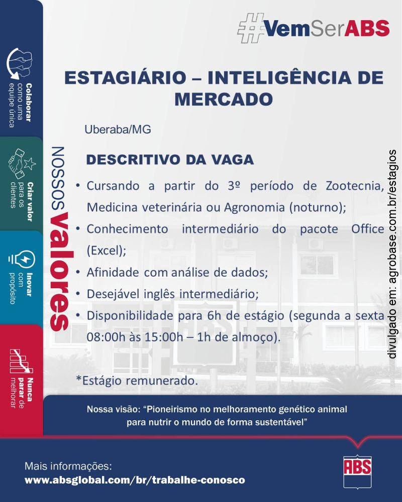 Estágio de inteligência de mercado – Uberaba/MG