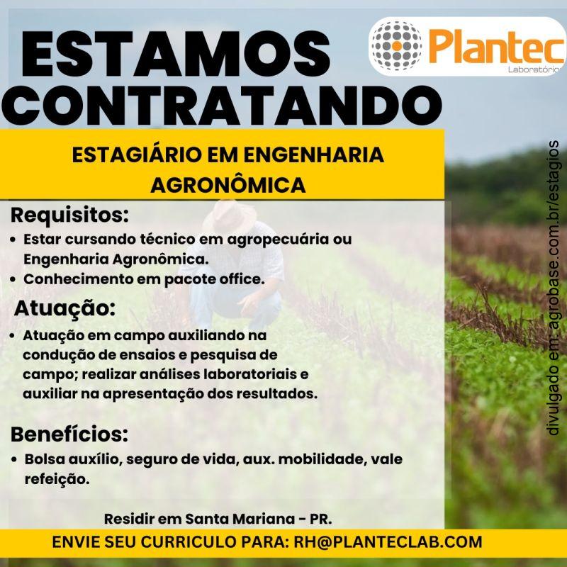 Estágio em engenharia agronômica – Santa Mariana/PR