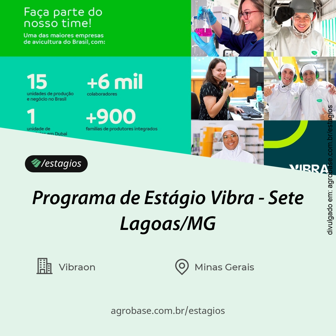 Programa de estágio Vibra – Sete Lagoas/MG