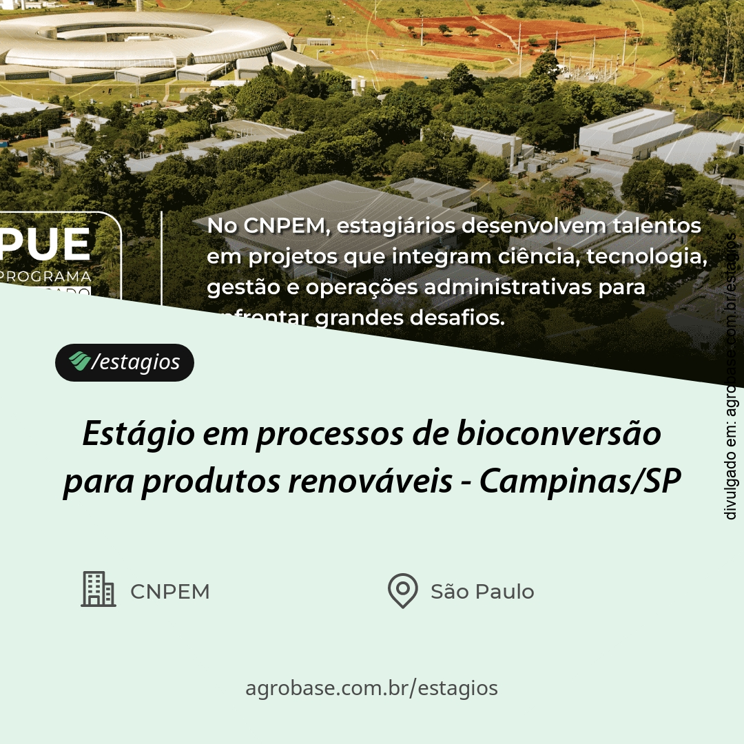 Estágio em processos de bioconversão para produtos renováveis – Campinas/SP