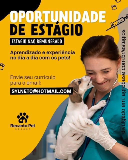 Estágio clínica veterinária – Camaragibe/PE
