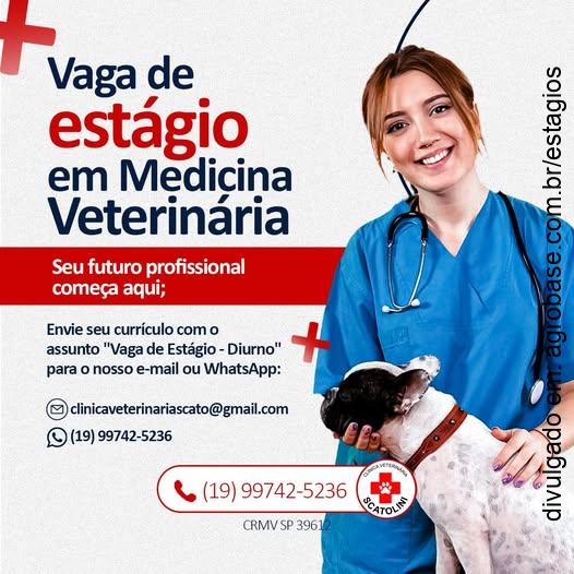 Estágio em medicina veterinária – Pirassununga/SP