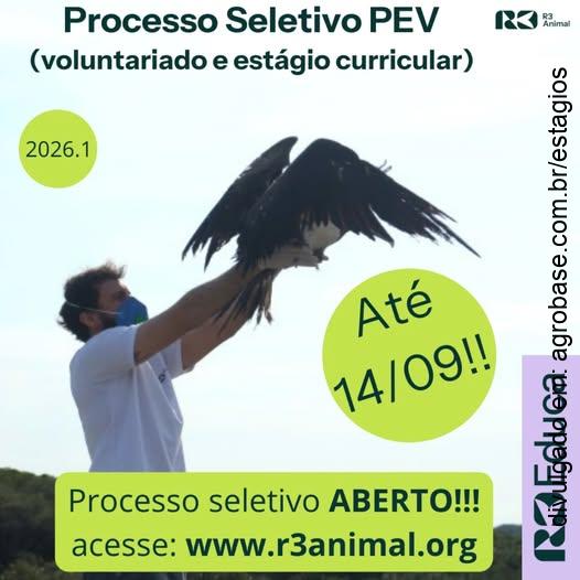 Estágio curricular R3 Animal – Florianópolis/SC