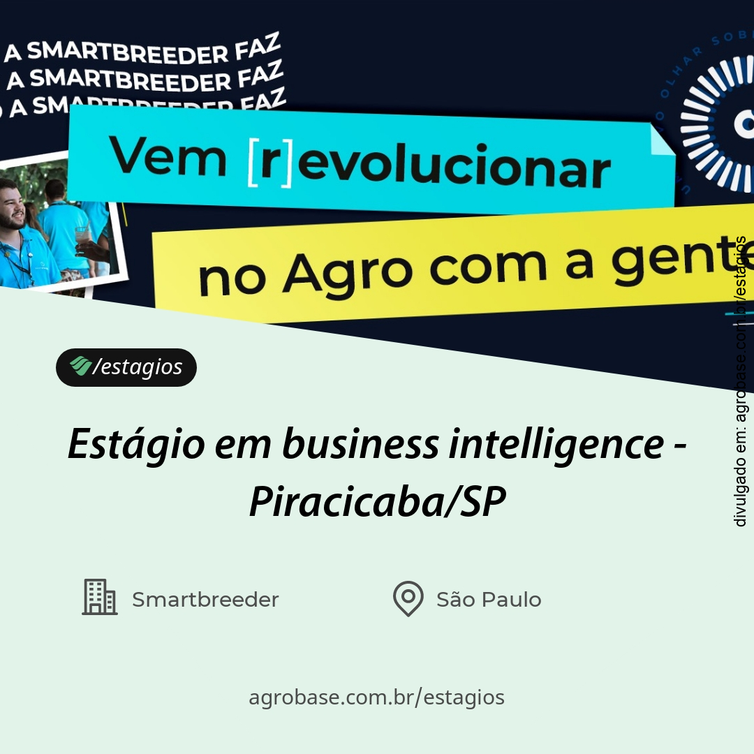 Estágio em business intelligence – Piracicaba/SP