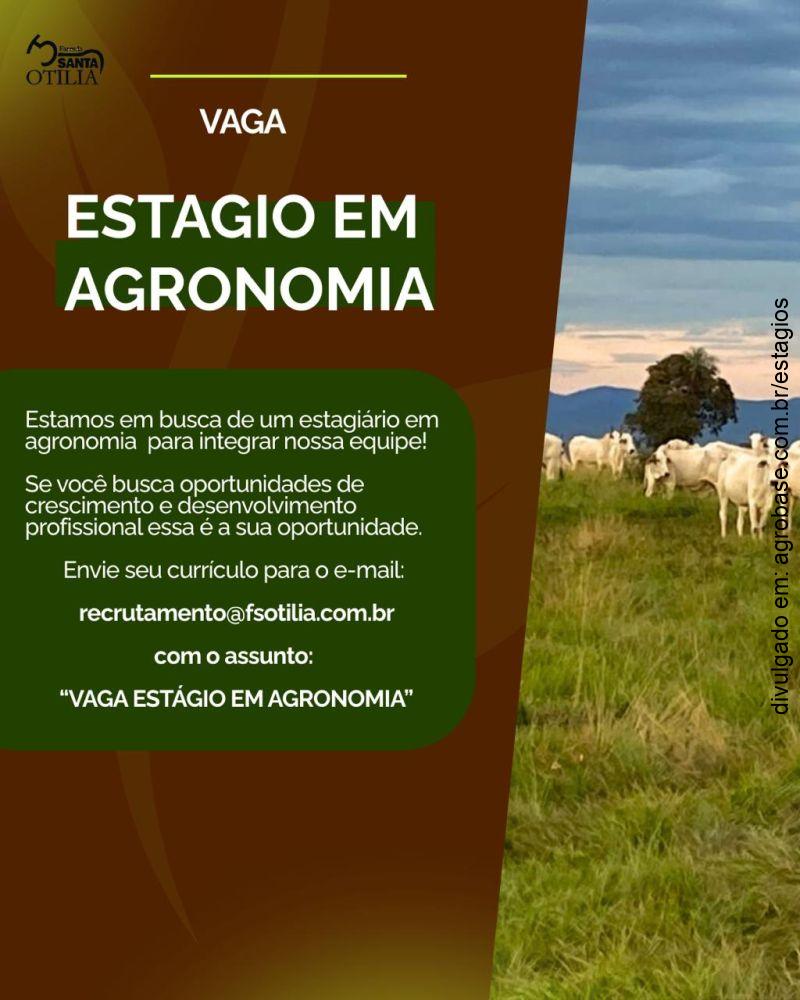 Estágio em agronomia – Campo Grande/MS