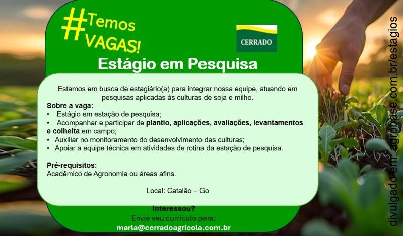 Estágio em pesquisa – Catalão/GO