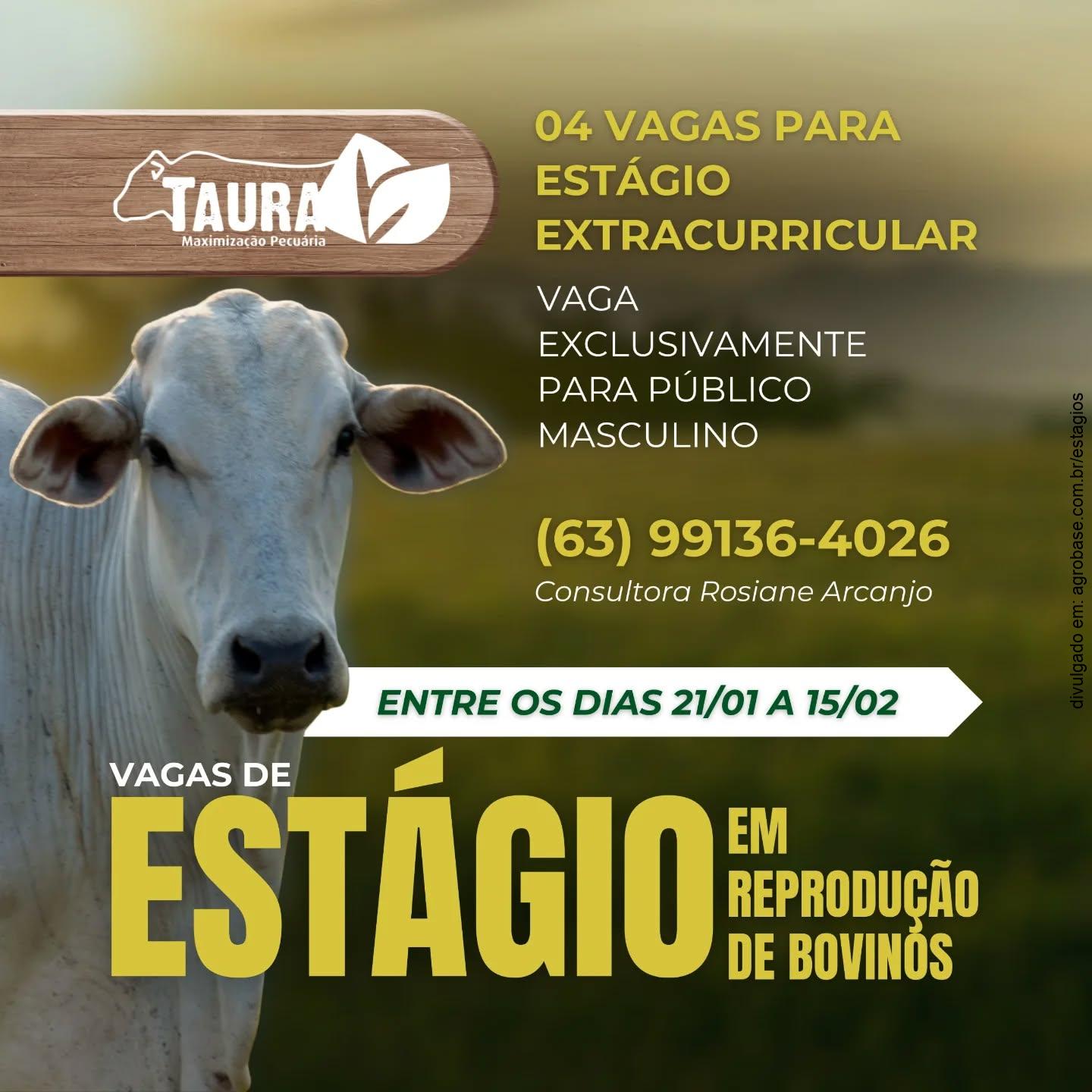 04 vagas de estágio em reprodução bovina – Dianópolis/TO [vagas para homens]