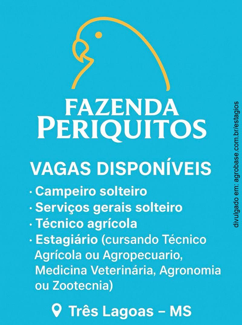 Estagiário fazenda – Três Lagoas/MS