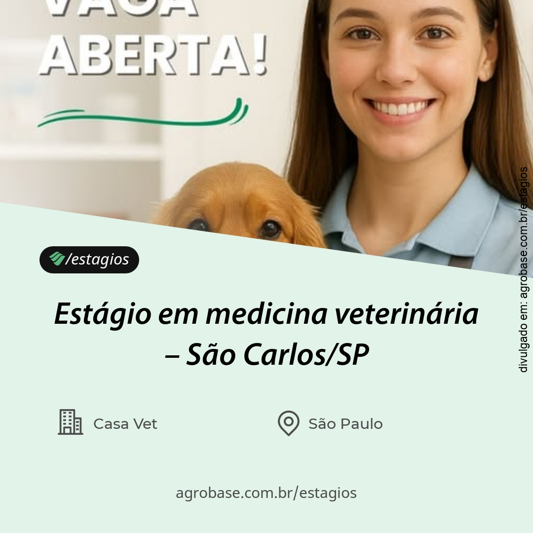 Estágio em medicina veterinária – São Carlos/SP