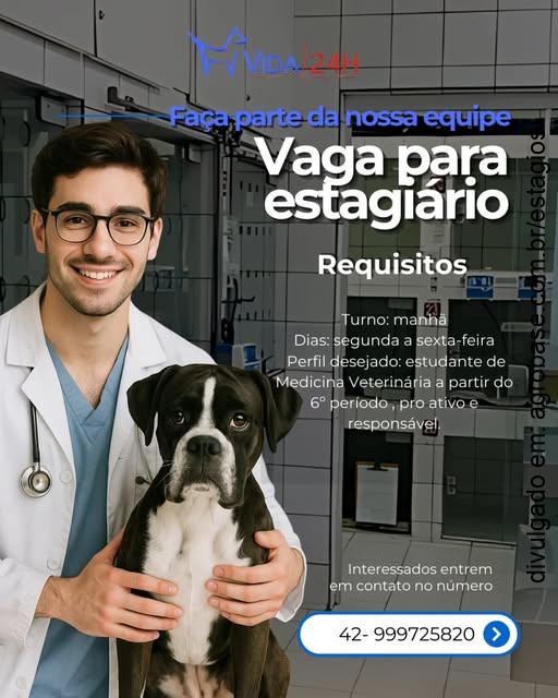 Estágio clínica de pequenos animais – Ponta Grossa/PR