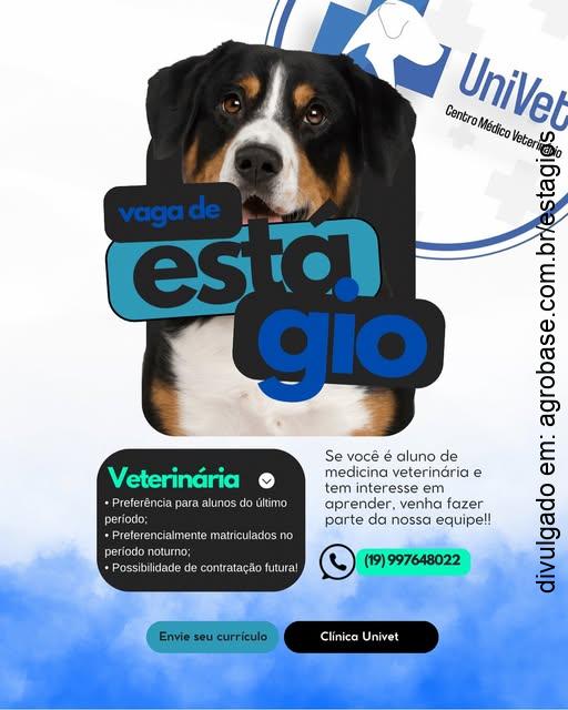 Estágio medicina veterinária – Amparo/SP
