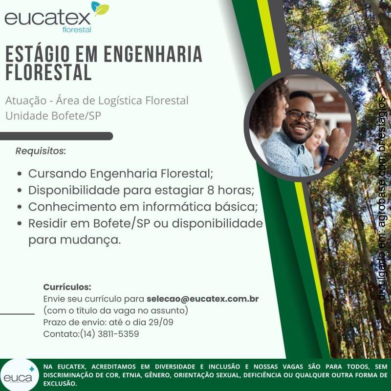 Estágio em engenharia florestal – Bofete/SP