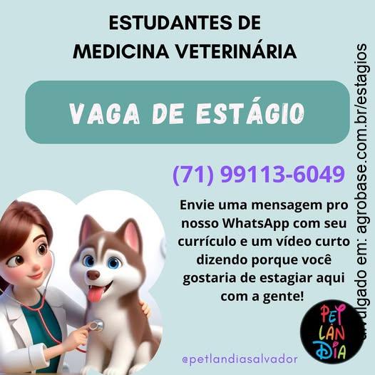 Estágio em medicina veterinária – Salvador/BA