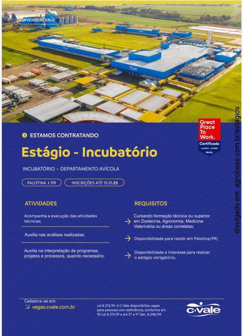 Estágio em incubatório (departamento avícola) – Palotina/PR