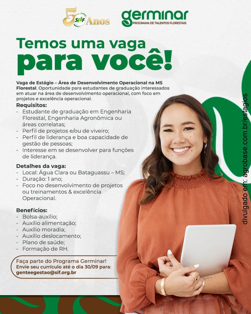 Estágio área de desenvolvimento operacional – Água Clara ou Bataguassu/MS