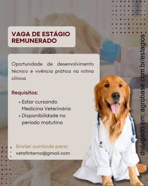 Estágio em medicina veterinária – Avaré/SP