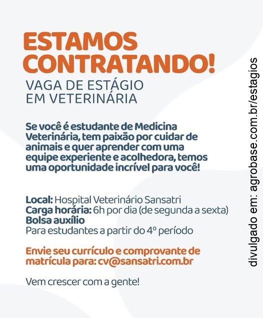 Estágio em veterinária – Florianópolis/SC