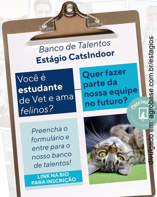 Estágio medicina veterinária (felinos) – Porto Alegre/RS