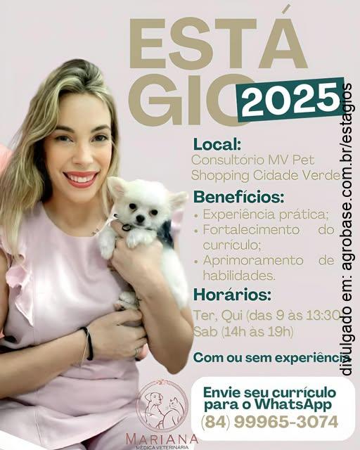 Estágio medicina veterinária – Natal/RN