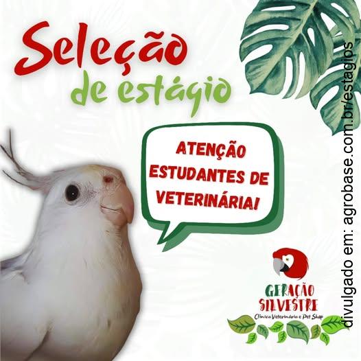 02 vagas de estágio medicina veterinária – Fortaleza/CE