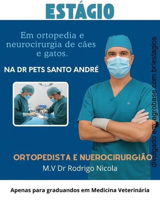 Estágio em ortopedia e neurocirurgia de cães e gatos – Santo André/SP