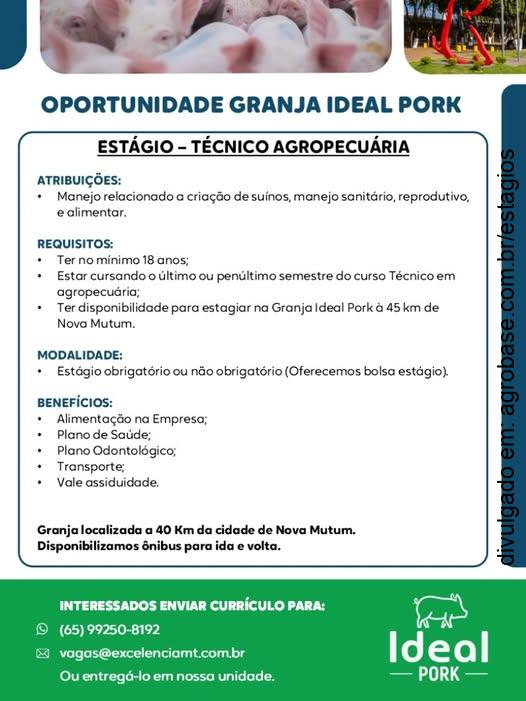 Estágio técnico agropecuário – Nova Mutum/MT