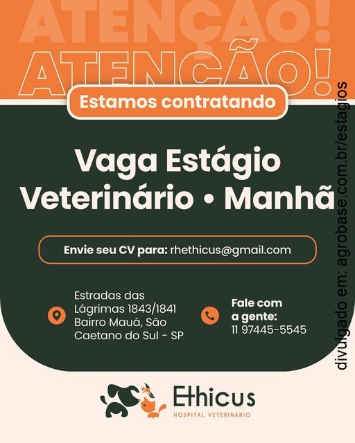 Estágio veterinário – São Caetano do Sul/SP