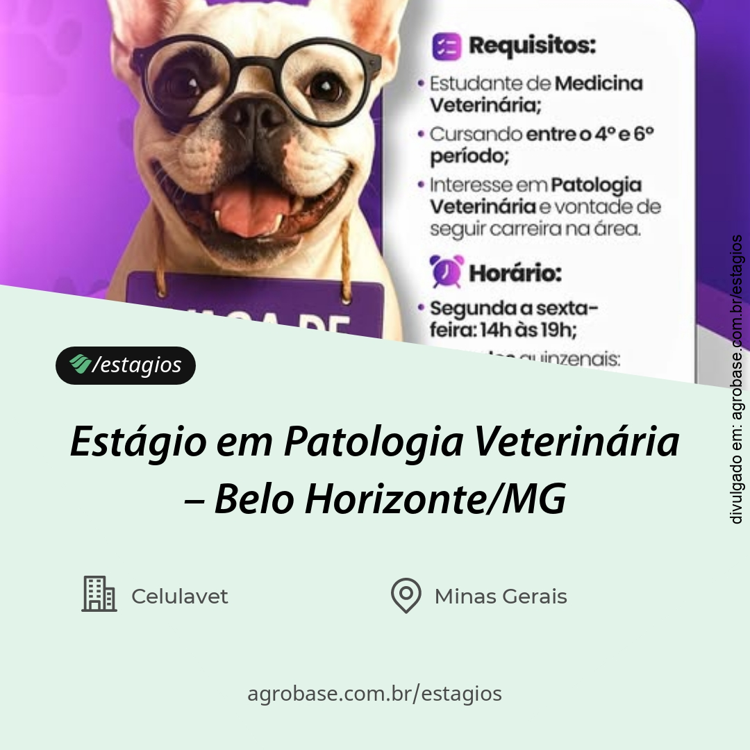 Estágio em patologia veterinária – Belo Horizonte/MG