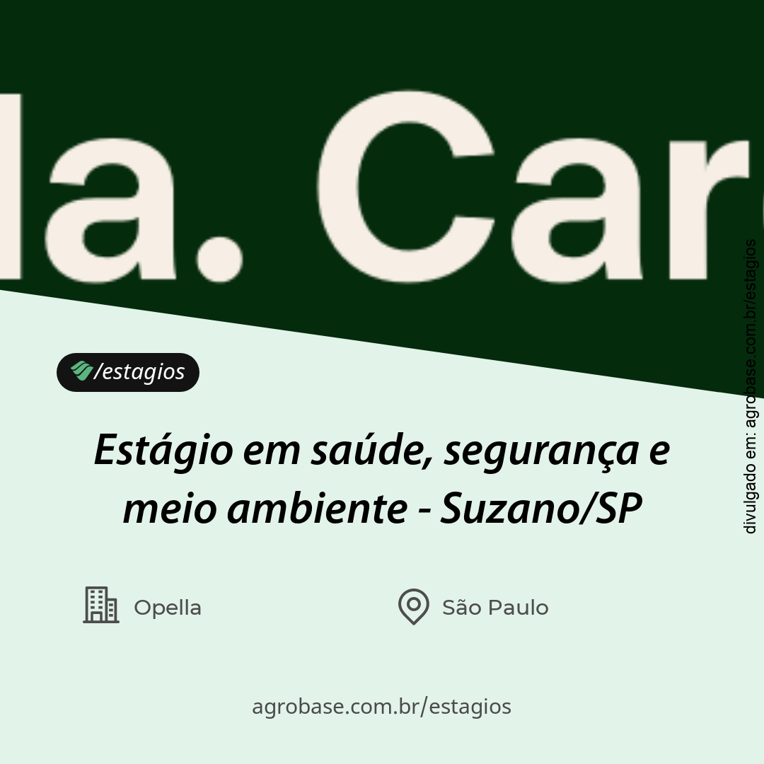 Estágio em saúde, segurança e meio ambiente – Suzano/SP